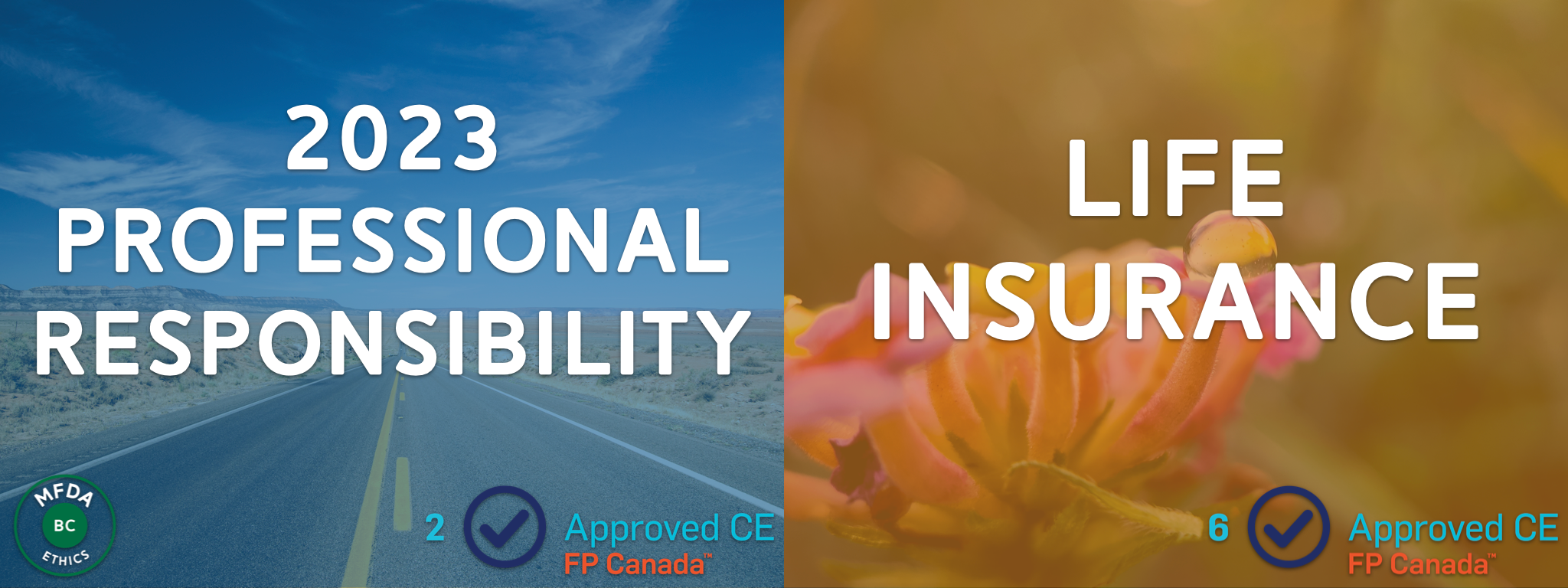 2023 Professional Responsibility + Life Insurance