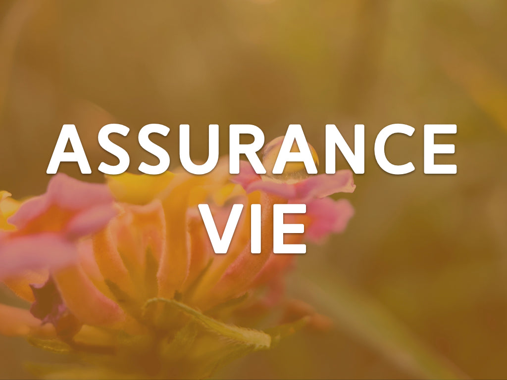 Assurance vie