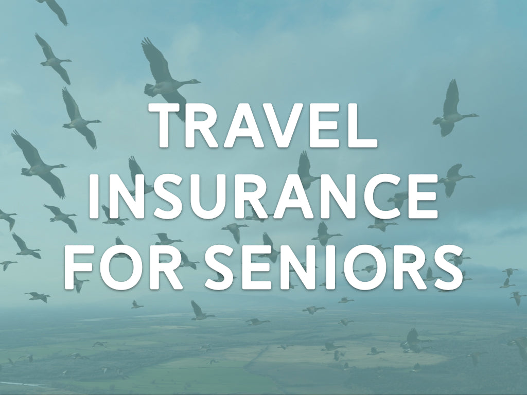 Travel Insurance for Seniors